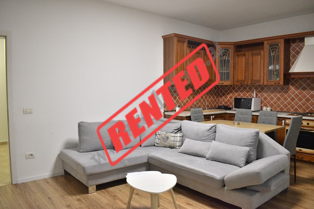 Two bedroom apartment for rent in Frederik Shiroka Street, very close to the Tirana Garden Building 